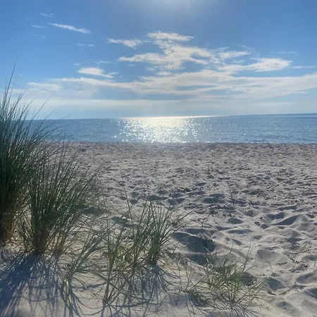 Zur Alten Boddenfischerei Zander Daire *