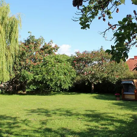 Zur Alten Boddenfischerei Zander *