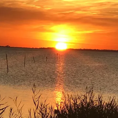 Daire Zur Alten Boddenfischerei Zander