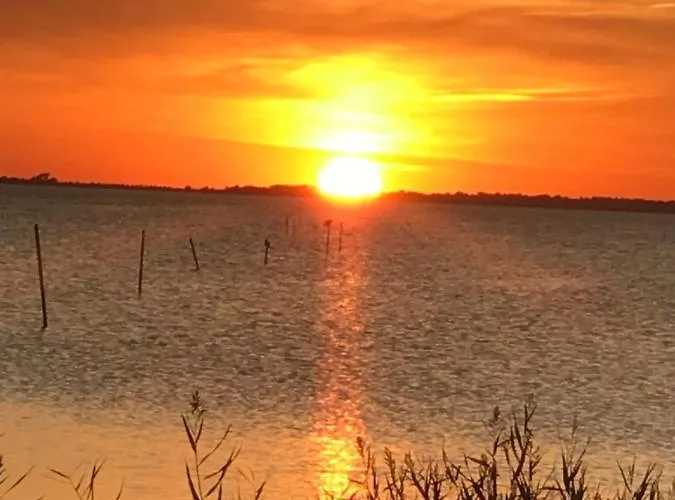 アパート Zur Alten Boddenfischerei Zander