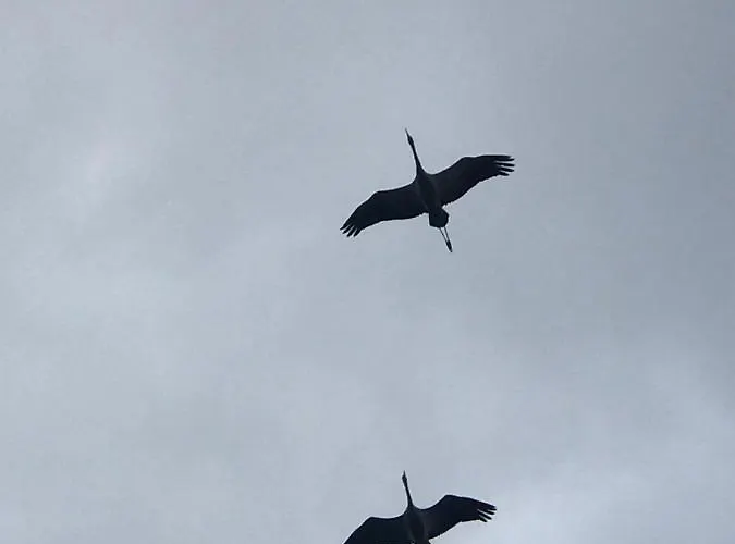 Zur Alten Boddenfischerei Zander アパート